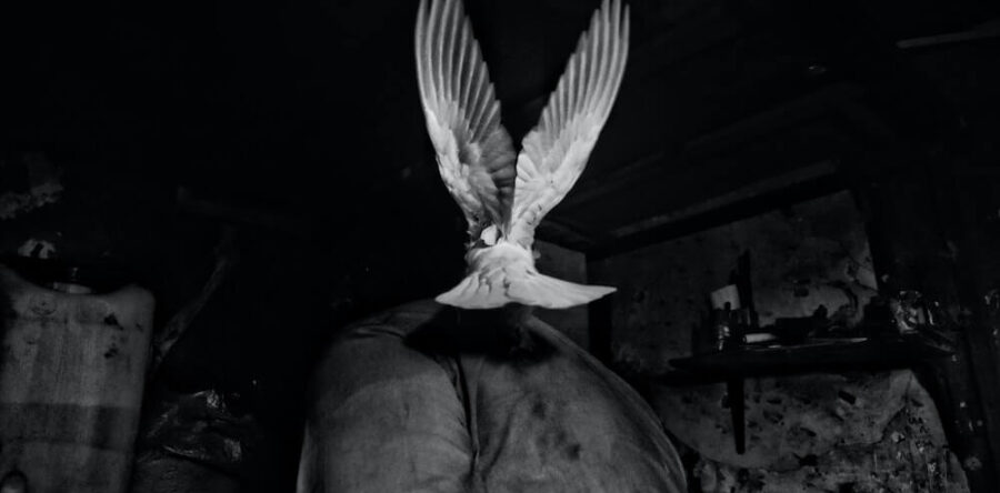 The Work of the Holy Spirit